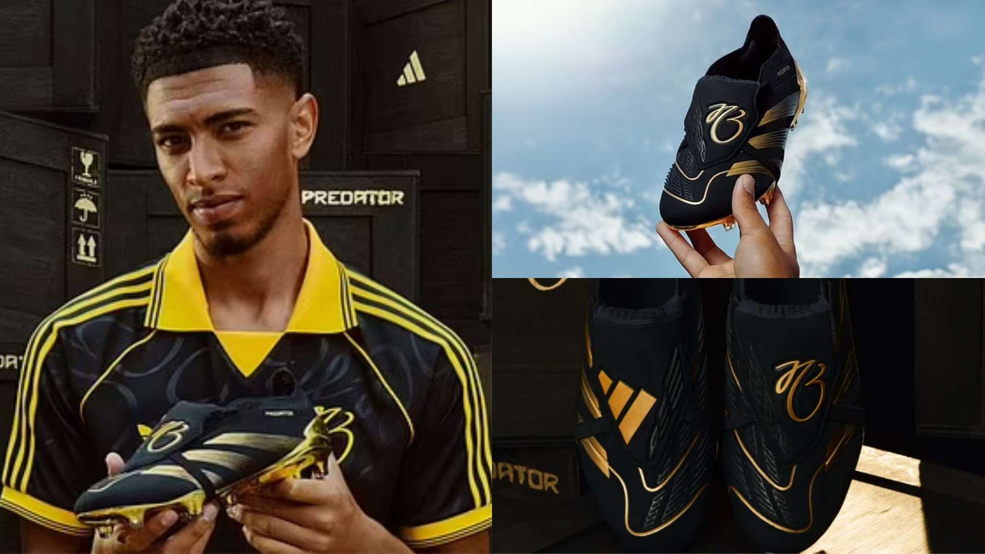 情与快乐 情与快乐