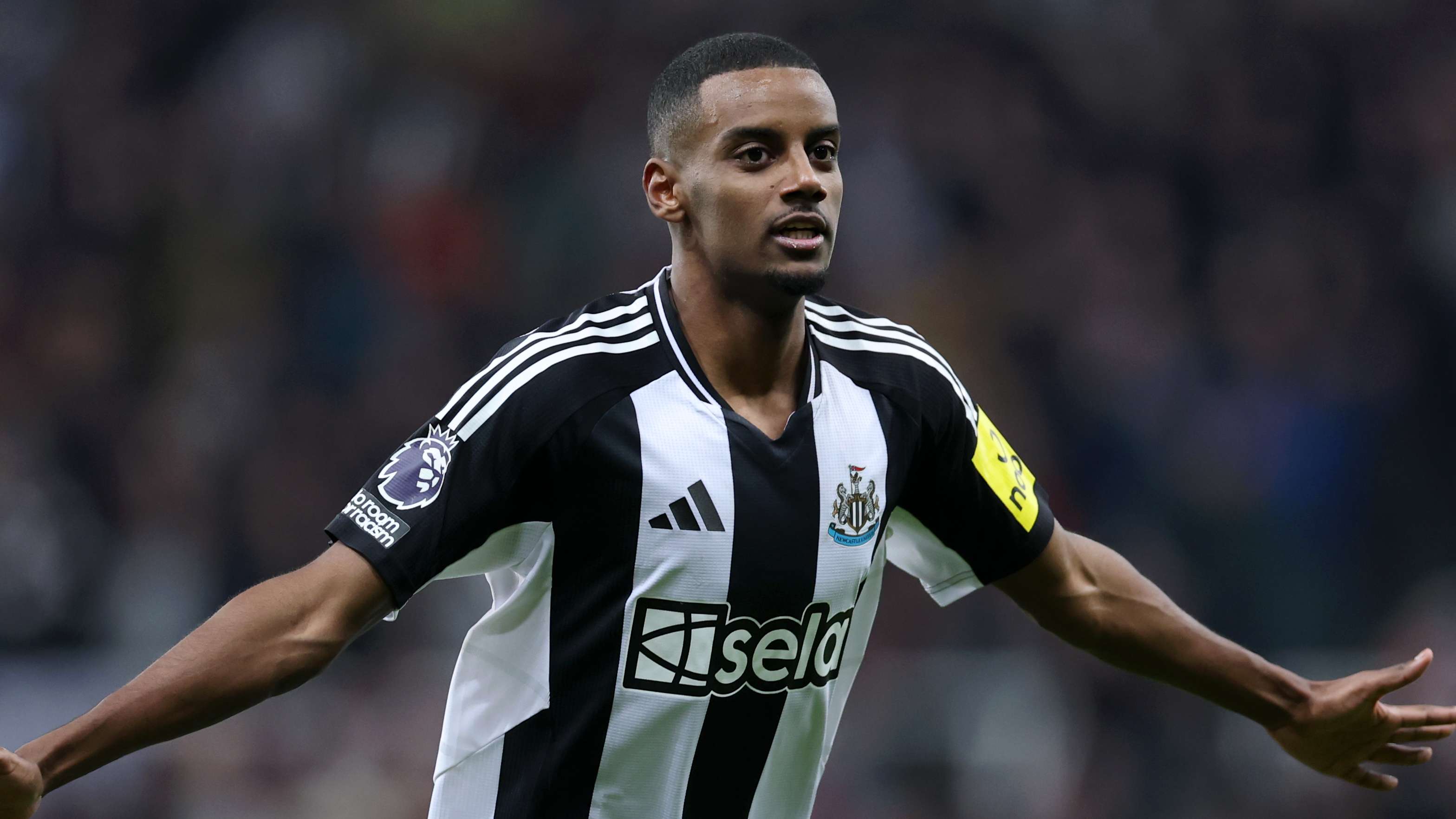 城在面对纽 城在面对纽