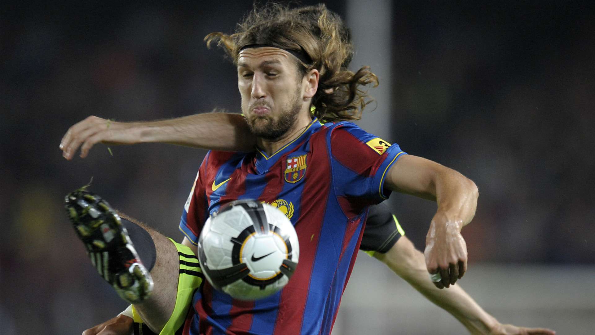 他们似乎被 他们似乎被